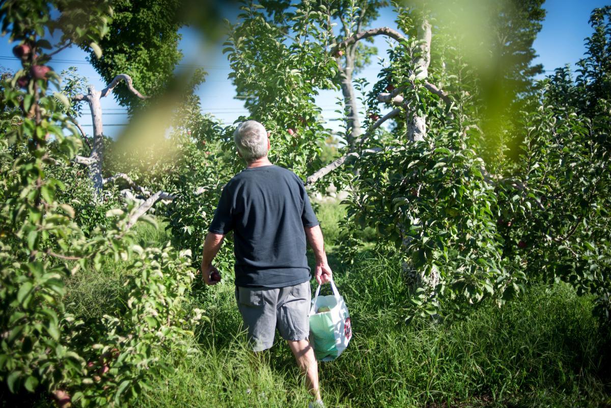 Le manager devient cultivateur de légumes